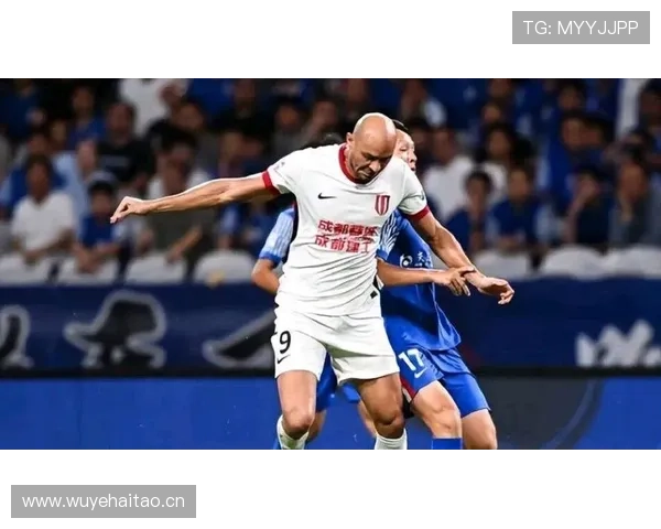 申花外援依赖问题凸显，一旦被限制则表现波动，对球队稳定性形成考验