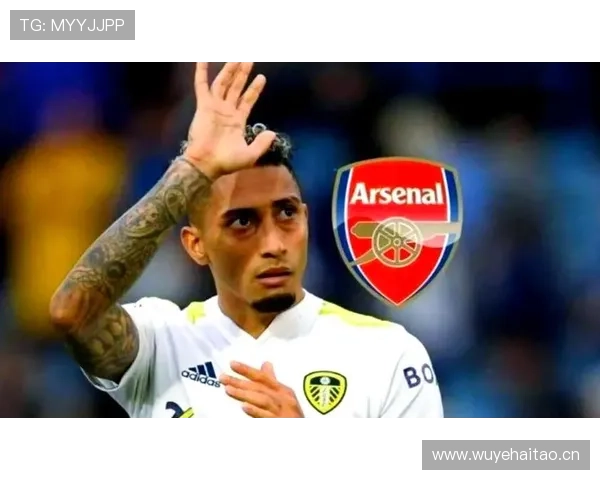 萨卡 vs 拉菲尼亚：技术型边锋的差异